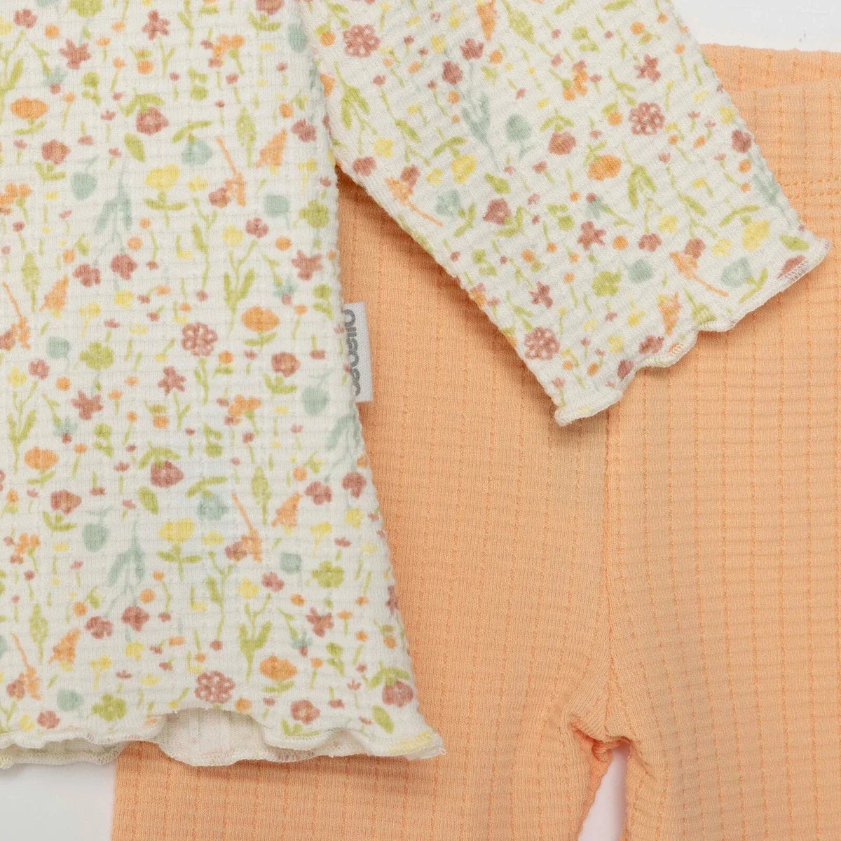 Bebetto Frill Neck Baby Sweatshirt & Leggings Set (1-3 Months to 12 Months) - Salmon