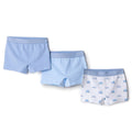 HelloBaby Printed Baby Briefs (12 Months to 4-5 Years)