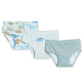 HelloBaby 3 Pack Striped Dinosaur Print Baby Briefs (12 Months to 4-5 Years) - Petrol Printed