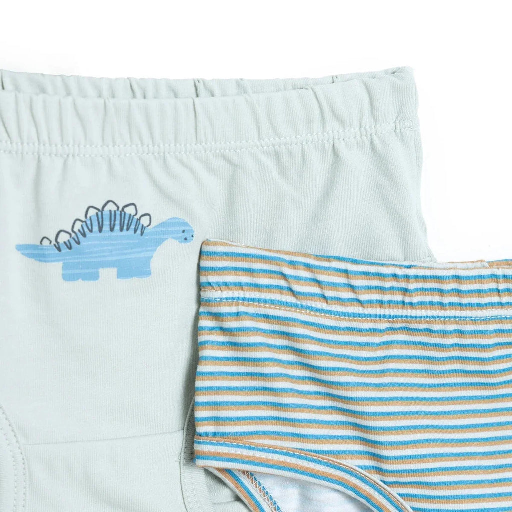 HelloBaby 3 Pack Striped Dinosaur Print Baby Briefs (12 Months to 4-5 Years) - Petrol Printed