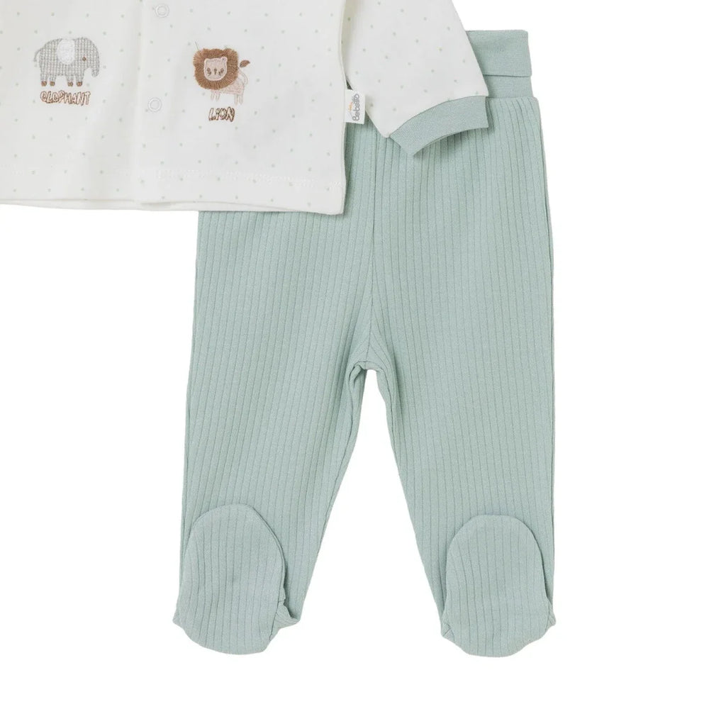 Bebetto Animal Print Baby Cardigan & Footed Leggings (Newborn to 6-9 Months) - Multicolour