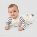Bebetto Penguin Print Velour Footed Baby Sleepsuit (Newborn to 6-9 Months) - Grey