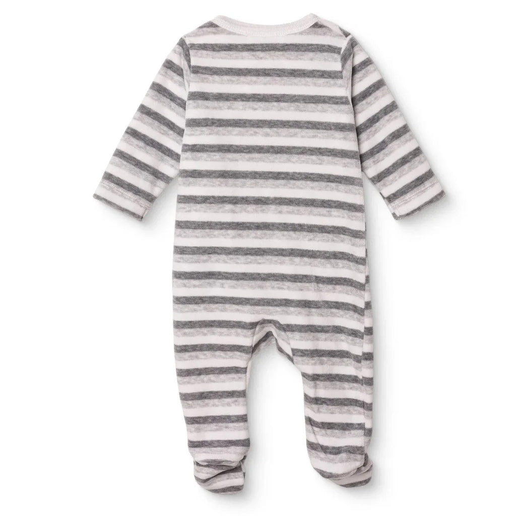 Bebetto Penguin Print Velour Footed Baby Sleepsuit (Newborn to 6-9 Months) - Grey