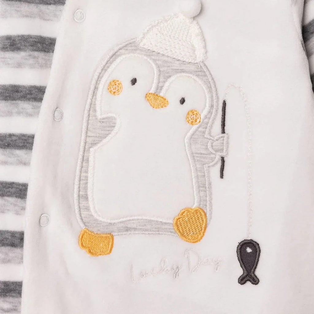 Bebetto Penguin Print Velour Footed Baby Sleepsuit (Newborn to 6-9 Months) - Grey