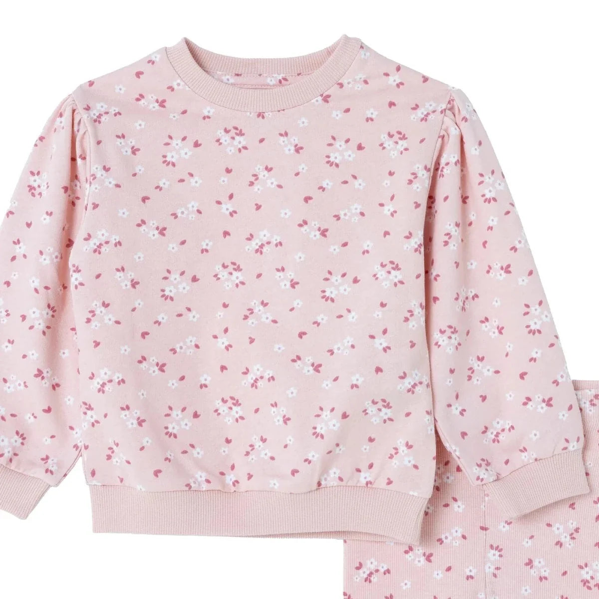 HelloBaby Floral Print Baby Sweatshirt & Leggings Set (3-6 Months to 4-5 Years) - Ecru Printed