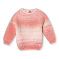 HelloBaby Baby Jumper (9-12 Months to 4-5 Years) - Pink