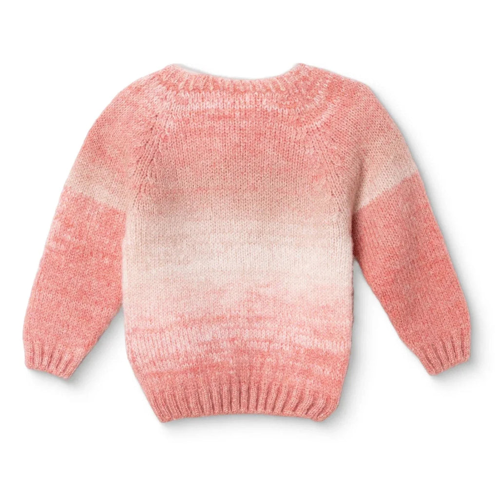 HelloBaby Baby Jumper (9-12 Months to 4-5 Years) - Pink