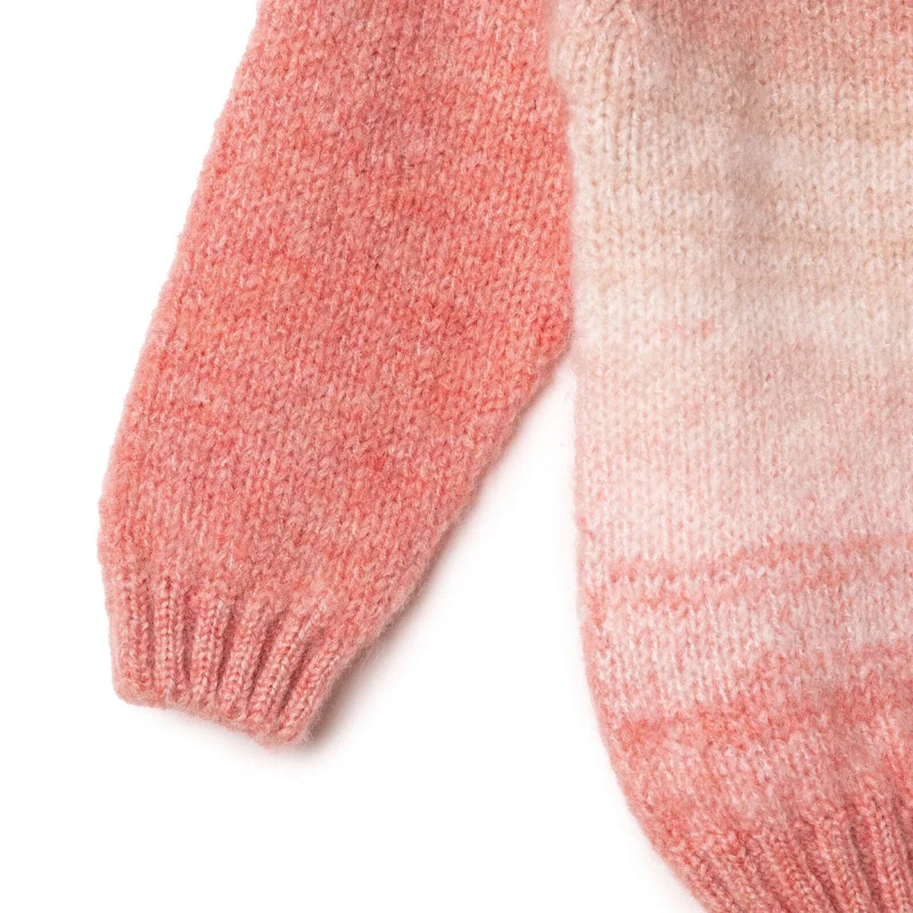 HelloBaby Baby Jumper (9-12 Months to 4-5 Years) - Pink