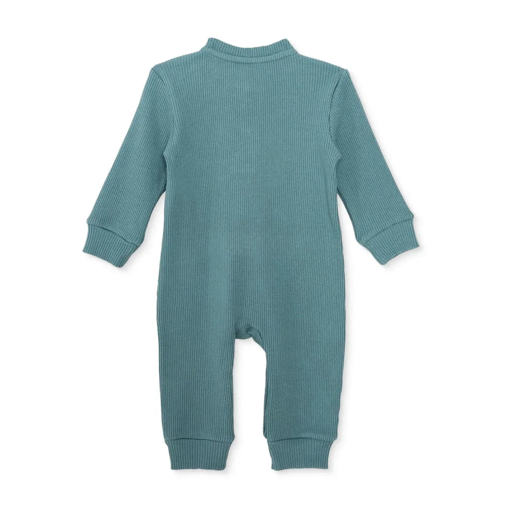 HelloBaby Long Sleeve Footless Baby Sleepsuit (Newborn to 6-9 Months) - Green