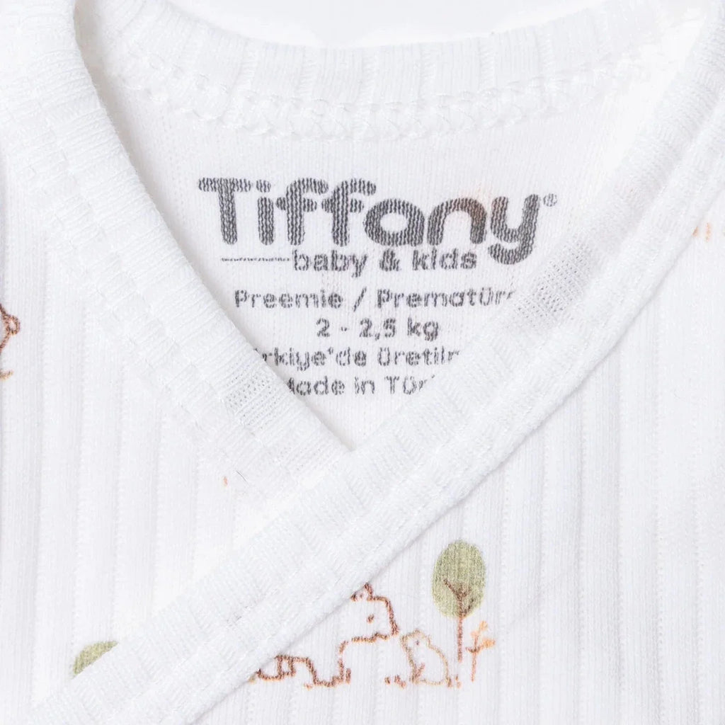 Tiffany Bear Motif Premature Baby Hospital Bag Set (Premature)