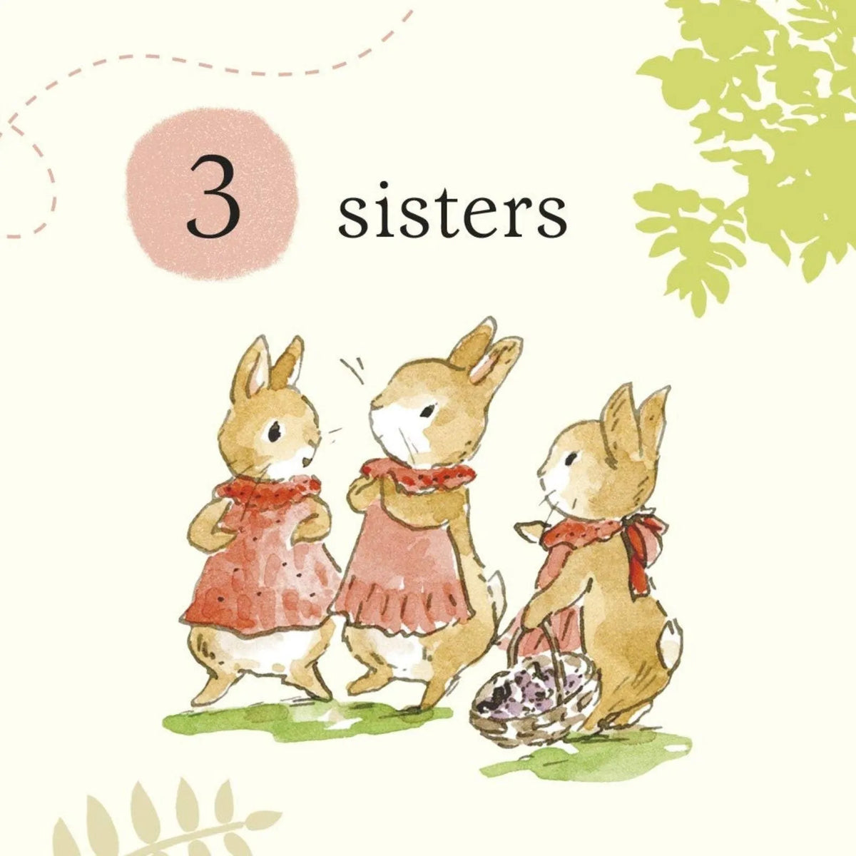 Peter Rabbit Tales Little Library