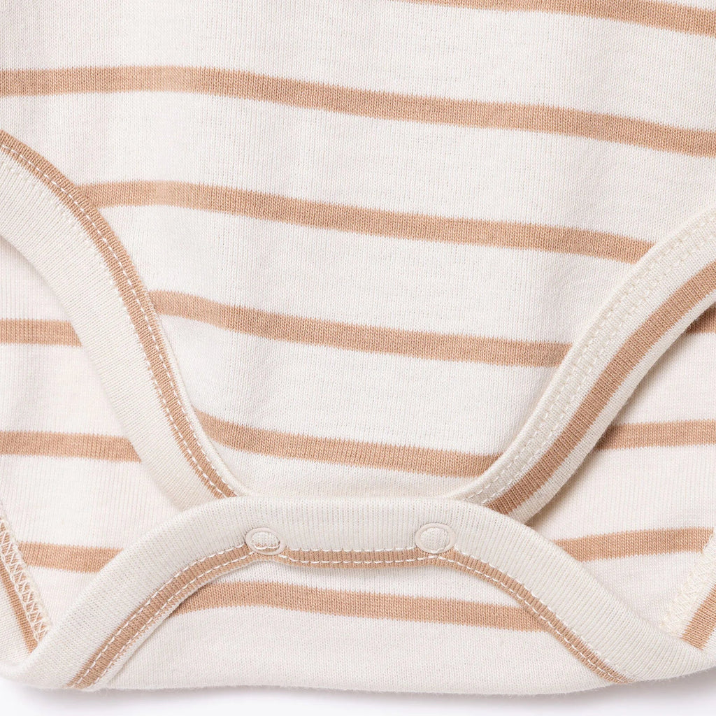 HelloBaby Long Sleeve Baby Bodysuit (1-3 Months to 2-3 Years)