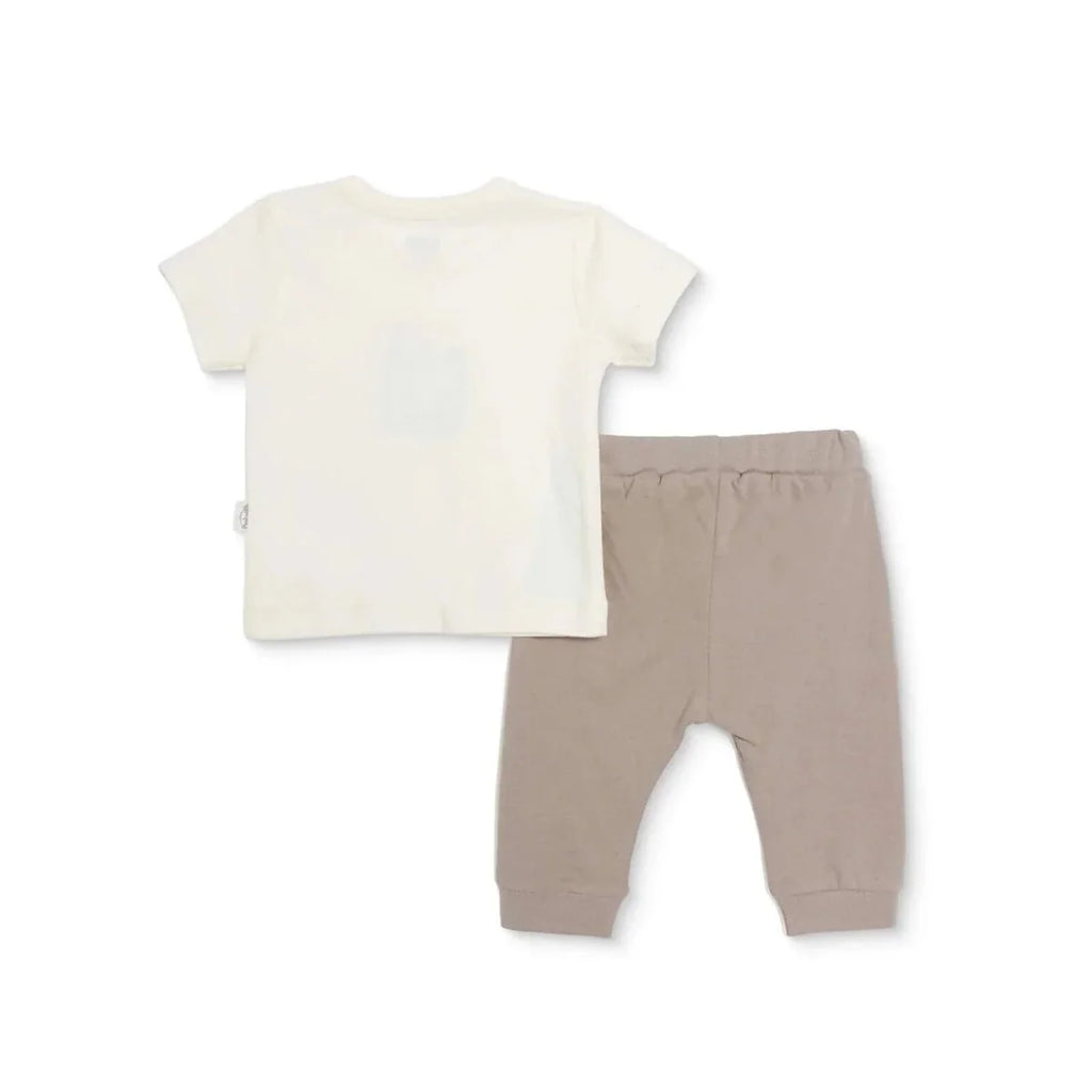Bebetto Short Sleeve Baby T-Shirt & Leggings Set (1-3 Months to 12 Months) - Brown
