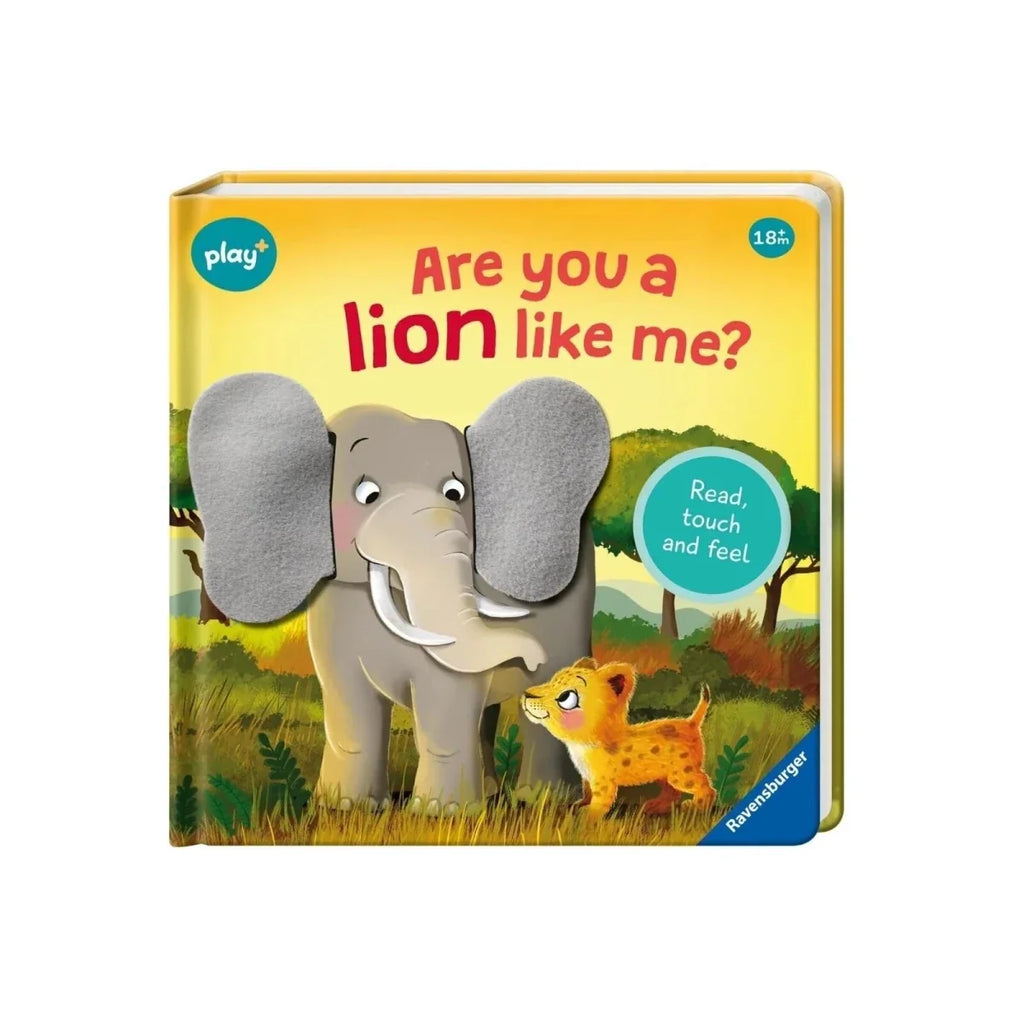 Play+ Are You a Lion Like Me? Book