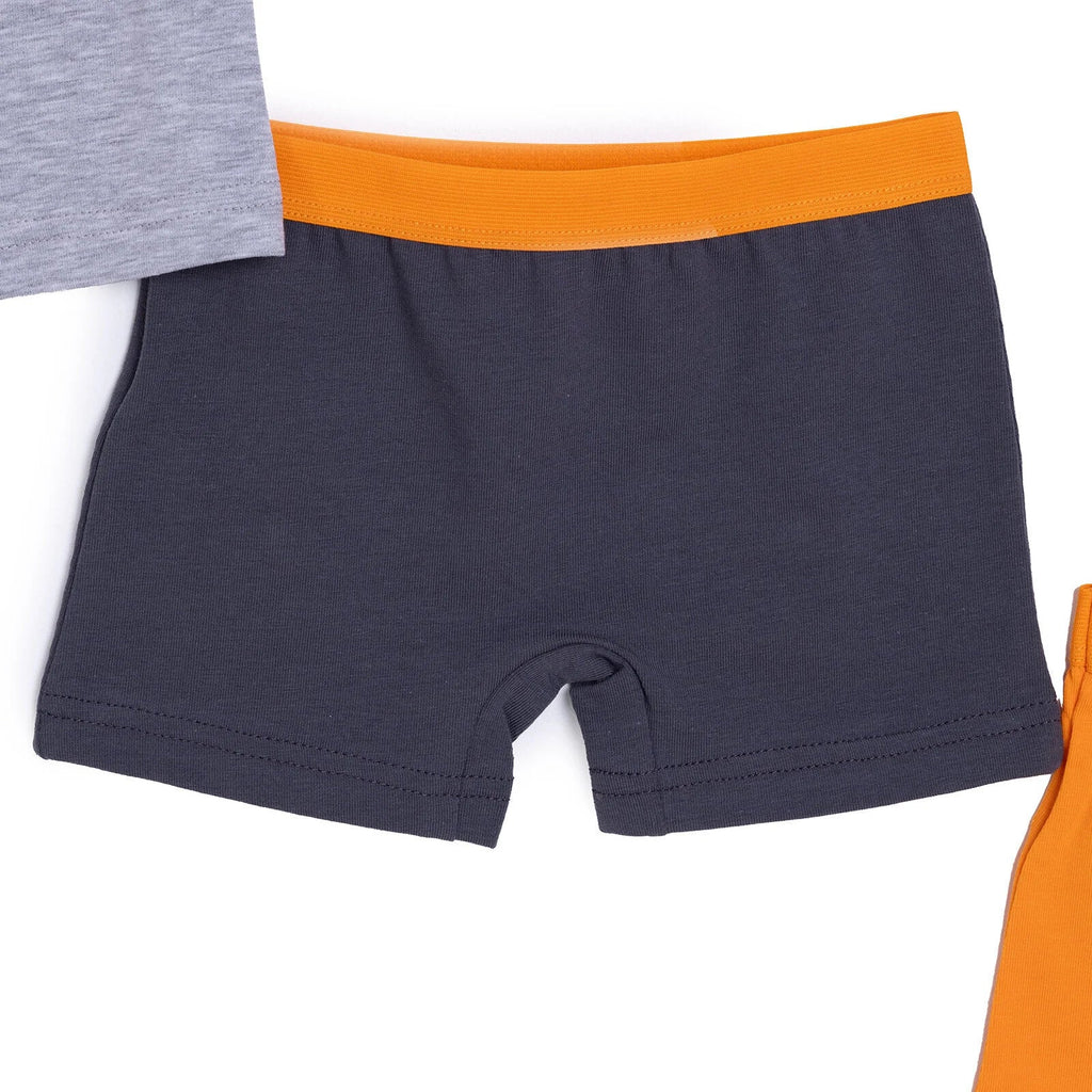 HelloBaby 3 Pack Baby Boxer Shorts (2 Years to 5 Years)