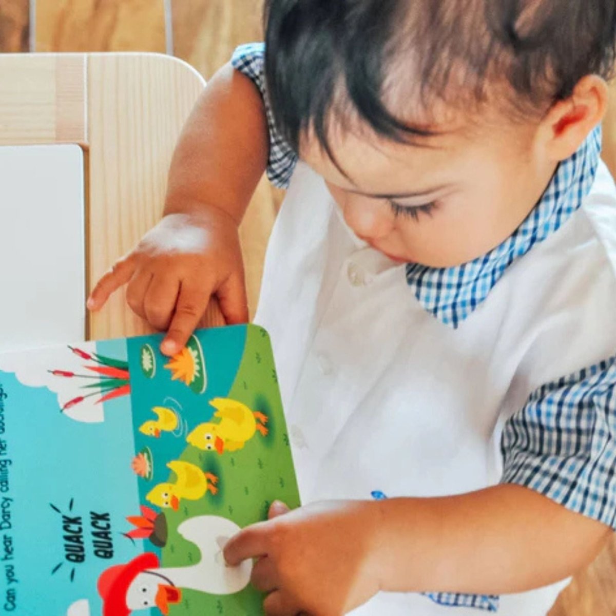 Ditty Bird Farm Animal Sounds Book
