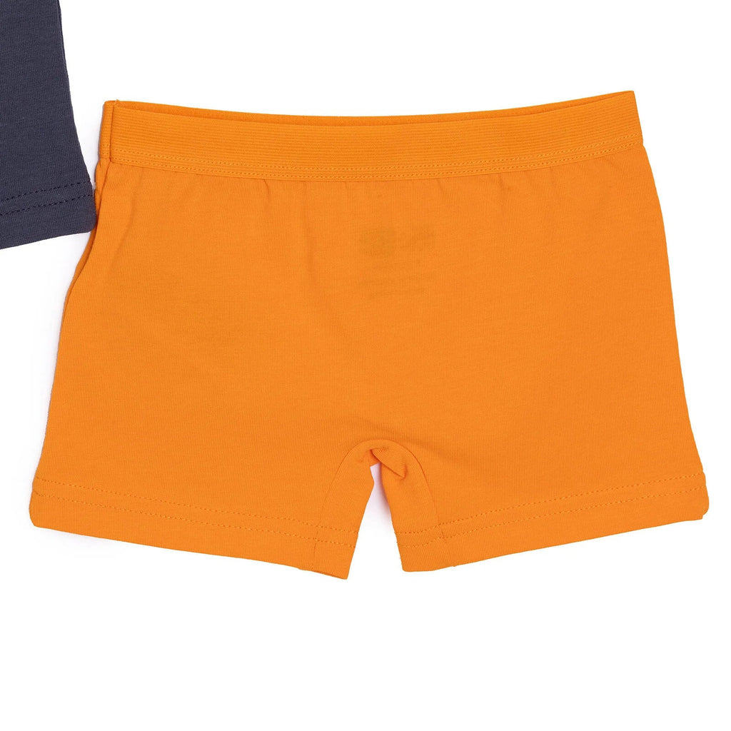 HelloBaby 3 Pack Baby Boxer Shorts (2 Years to 5 Years)