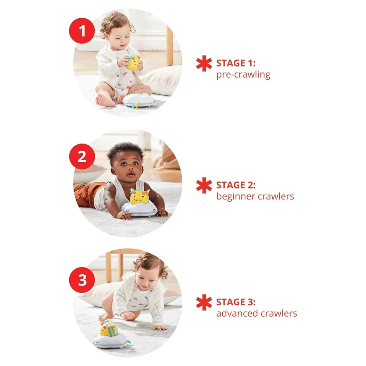 Skip Hop Explore & More Follow-Bee Crawl Toy