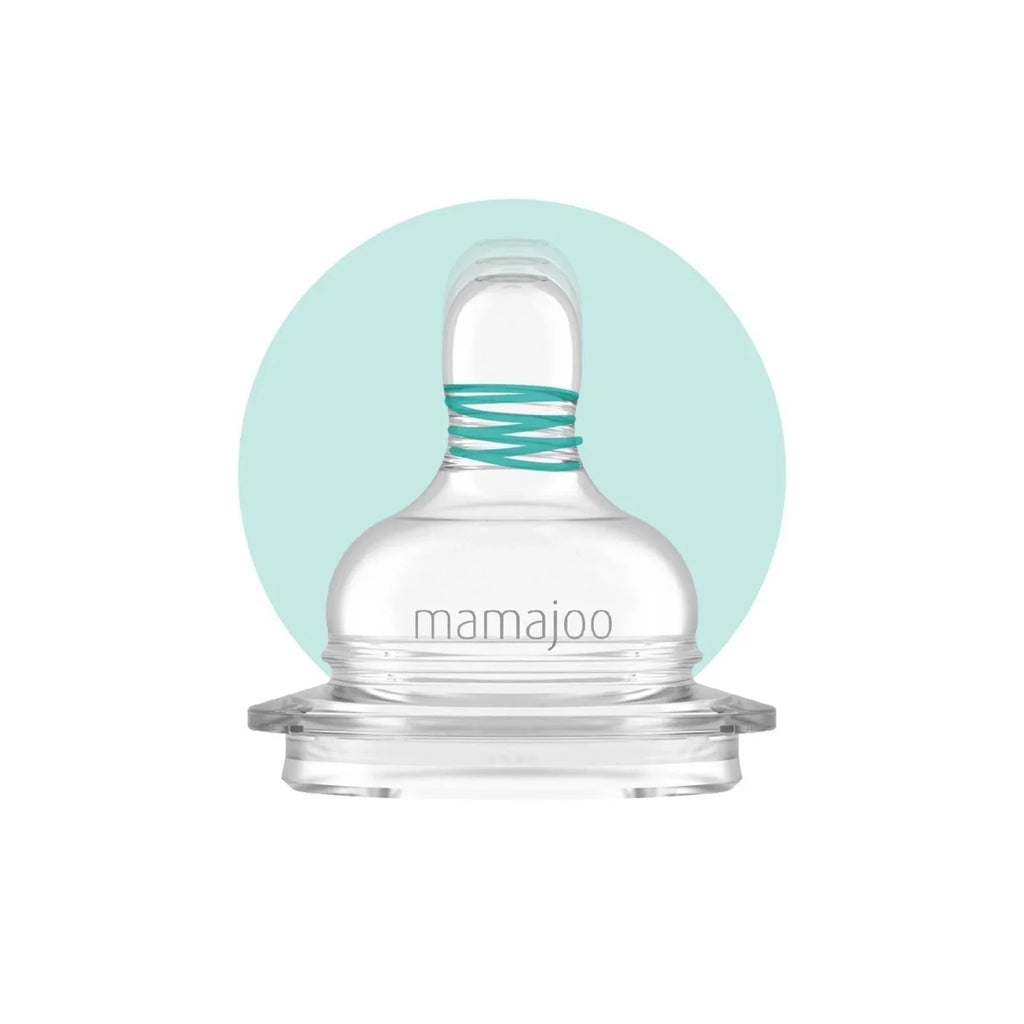 Mamajoo Anti-Colic PP Baby Bottle Slow Flow 0+ months 150ml - Silver